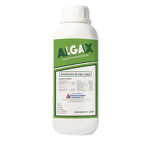 ALGAX  LT