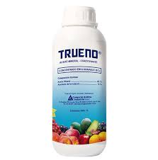 TRUENO LT